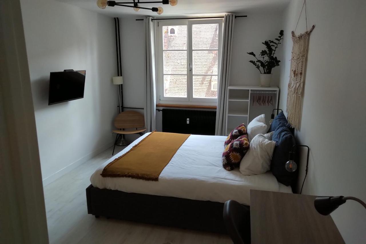 Appartement Spacieux Et Cosy - Strasbourg Centre Экстерьер фото